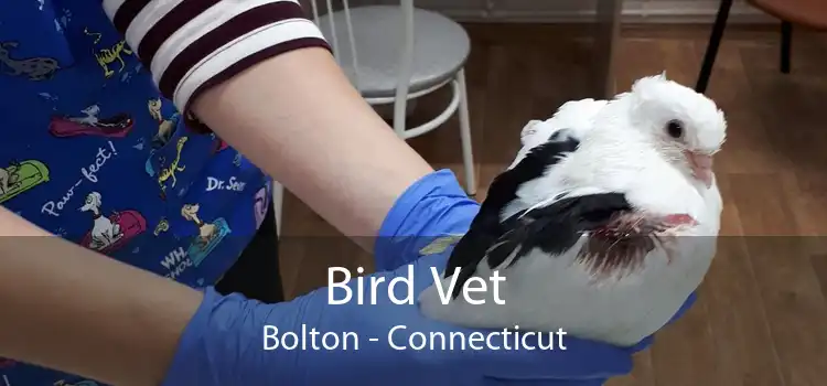 Bird Vet Bolton - Connecticut