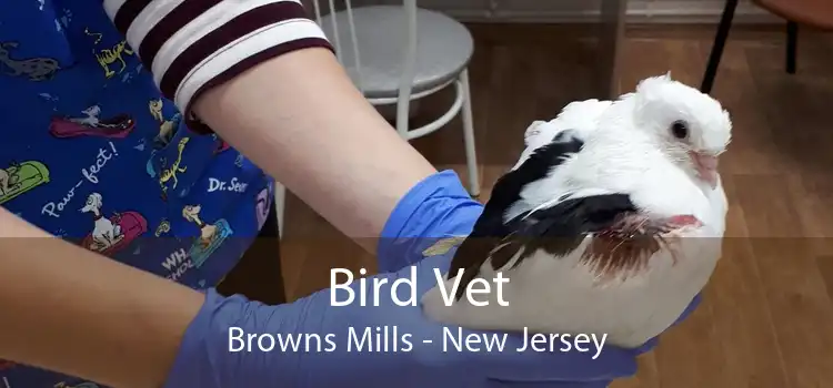 Bird Vet Browns Mills - New Jersey