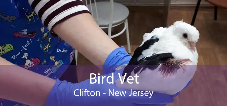 Bird Vet Clifton - New Jersey