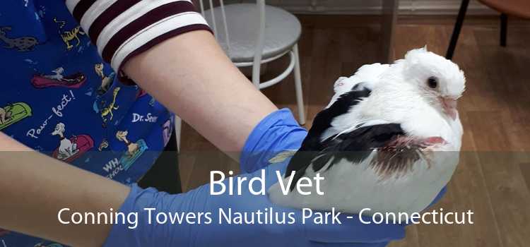 Bird Vet Conning Towers Nautilus Park - Connecticut