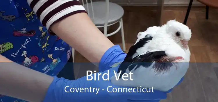 Bird Vet Coventry - Connecticut