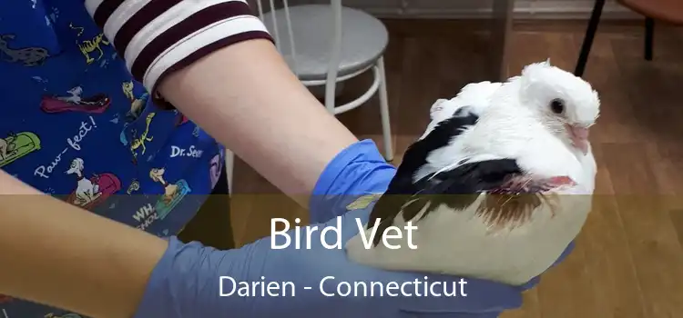 Bird Vet Darien - Connecticut