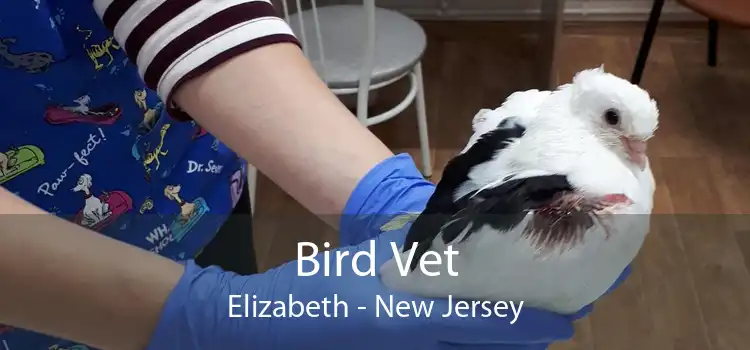 Bird Vet Elizabeth - New Jersey