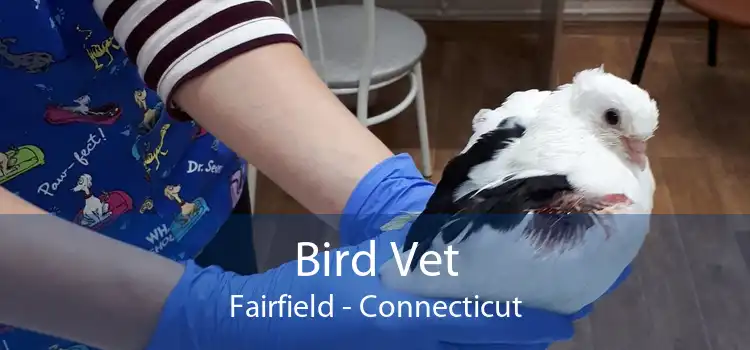 Bird Vet Fairfield - Connecticut