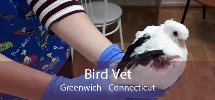 Bird Vet Greenwich - Connecticut