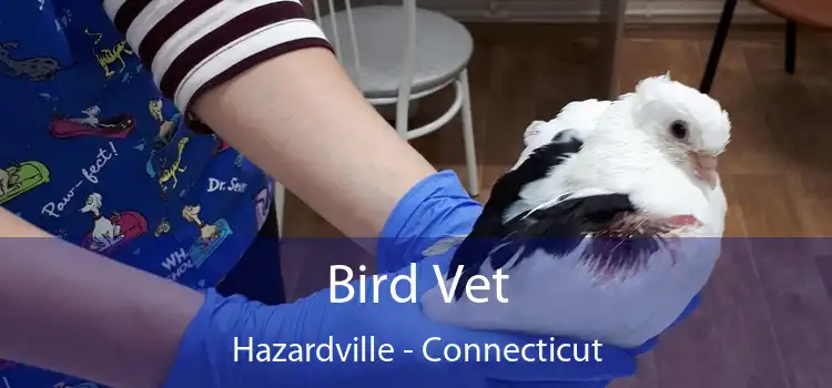 Bird Vet Hazardville - Connecticut