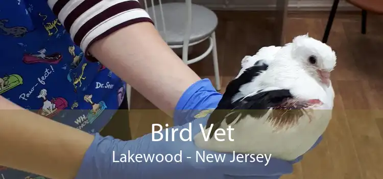 Bird Vet Lakewood - New Jersey