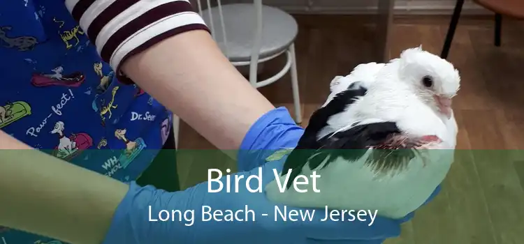 Bird Vet Long Beach - New Jersey