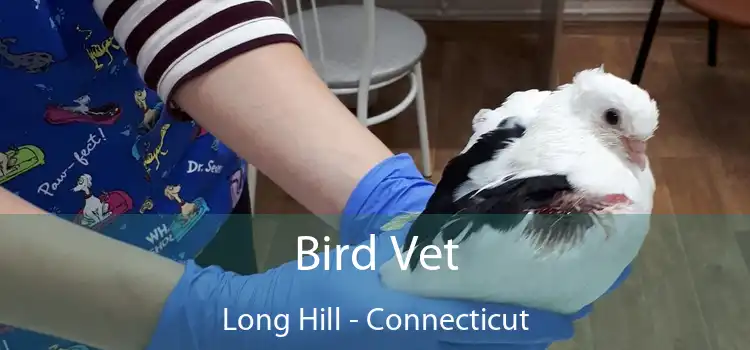 Bird Vet Long Hill - Connecticut