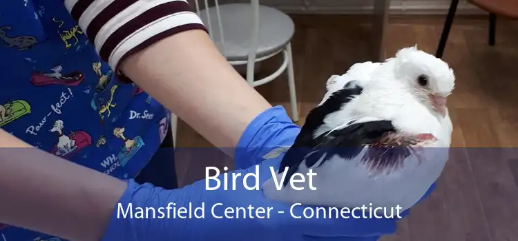 Bird Vet Mansfield Center - Connecticut
