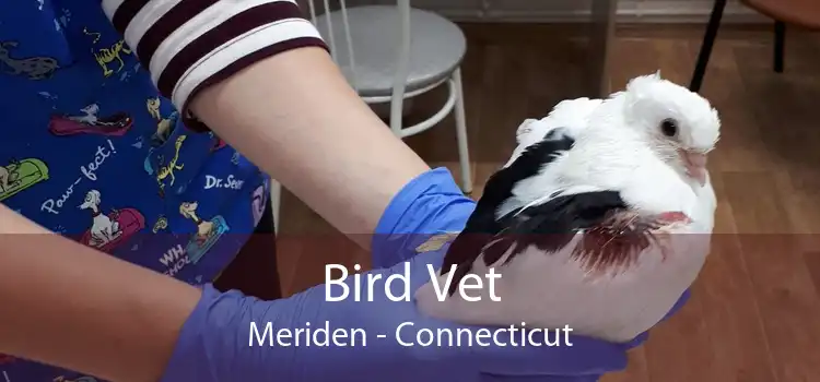 Bird Vet Meriden - Connecticut