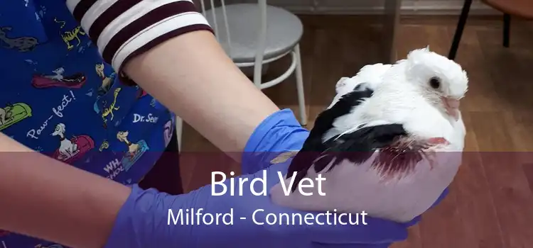 Bird Vet Milford - Connecticut