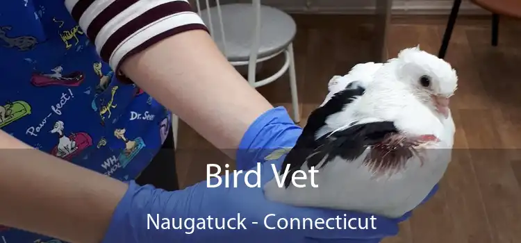 Bird Vet Naugatuck - Connecticut