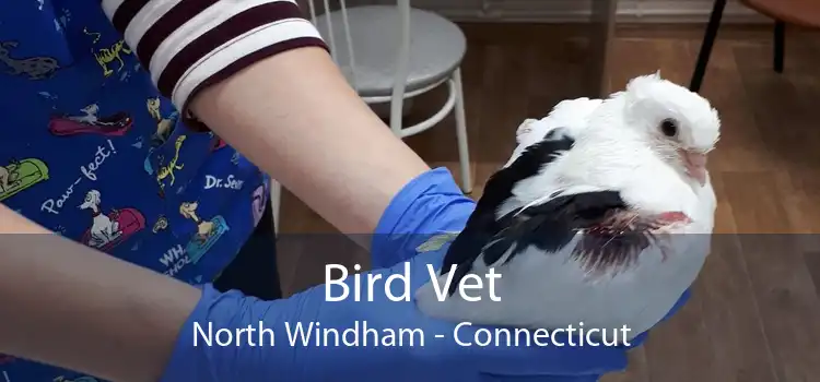 Bird Vet North Windham - Connecticut