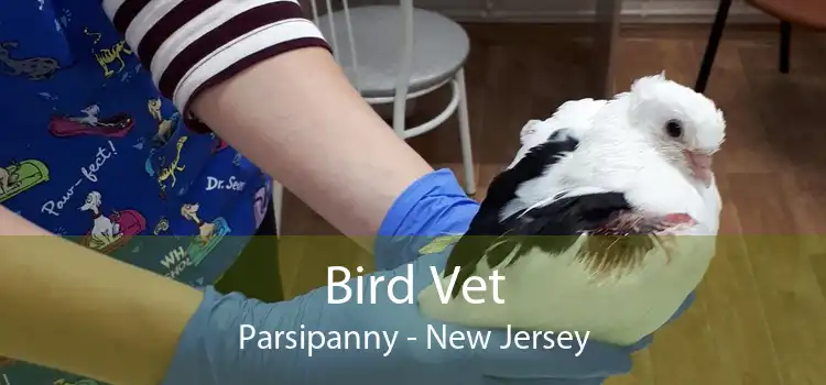 Bird Vet Parsipanny - New Jersey