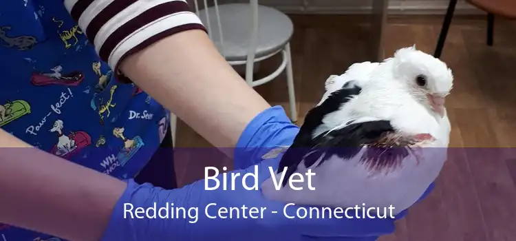 Bird Vet Redding Center - Connecticut