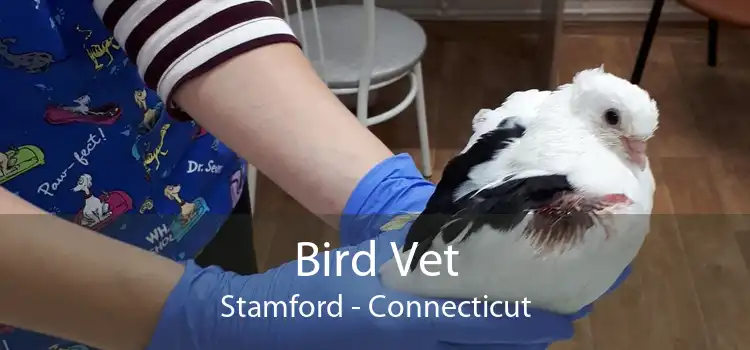 Bird Vet Stamford - Connecticut