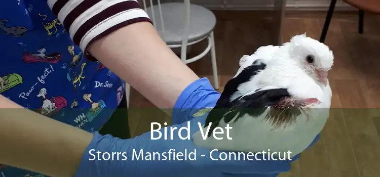Bird Vet Storrs Mansfield - Connecticut
