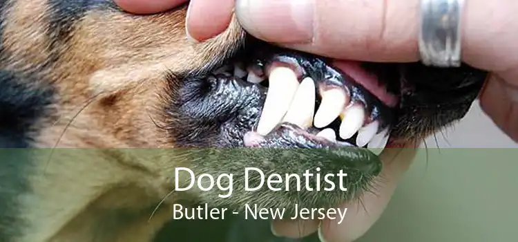Dog Dentist Butler - New Jersey