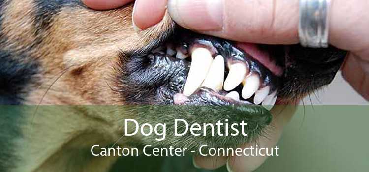 Dog Dentist Canton Center - Connecticut