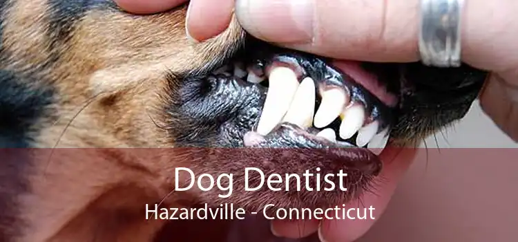 Dog Dentist Hazardville - Connecticut