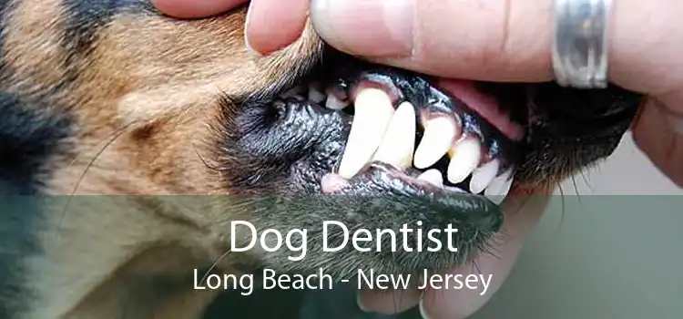 Dog Dentist Long Beach - New Jersey