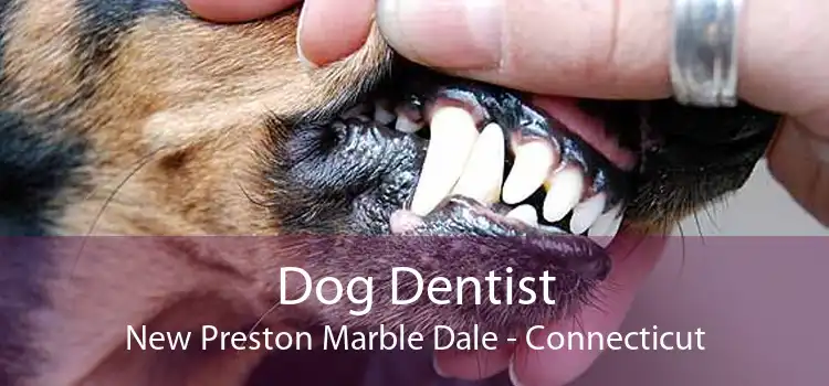 Dog Dentist New Preston Marble Dale - Connecticut
