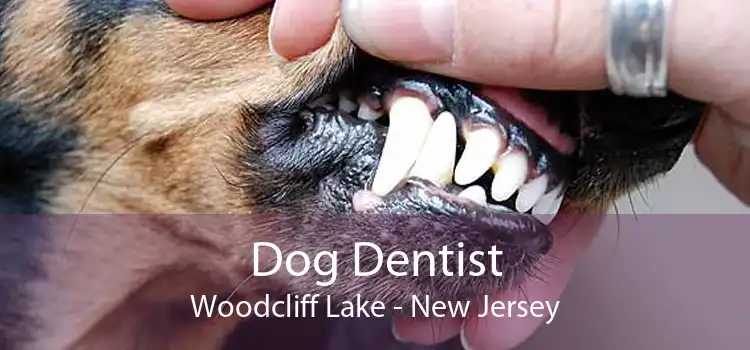 Dog Dentist Woodcliff Lake - New Jersey
