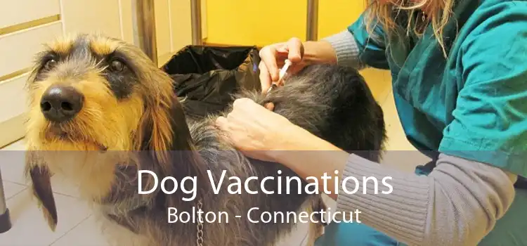 Dog Vaccinations Bolton - Connecticut