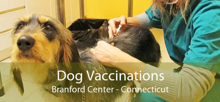 Dog Vaccinations Branford Center - Connecticut