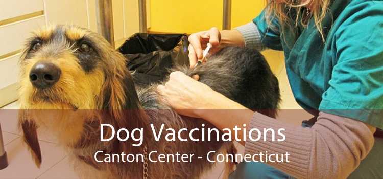 Dog Vaccinations Canton Center - Connecticut