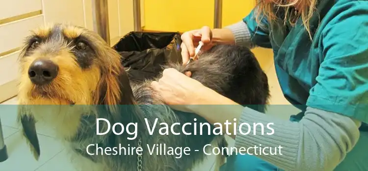 Dog Vaccinations Cheshire Village - Connecticut