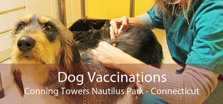 Dog Vaccinations Conning Towers Nautilus Park - Connecticut