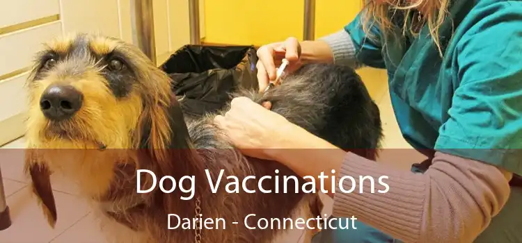 Dog Vaccinations Darien - Connecticut