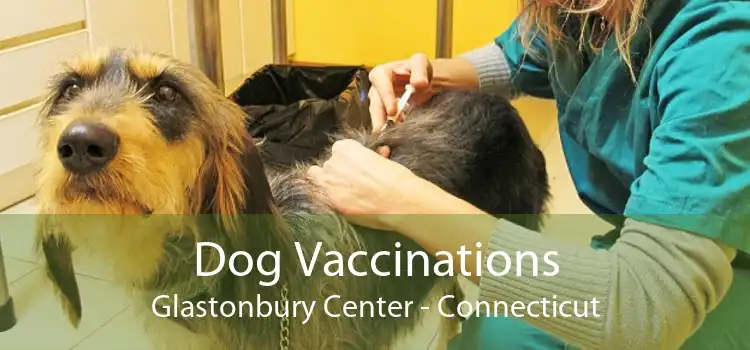 Dog Vaccinations Glastonbury Center - Connecticut
