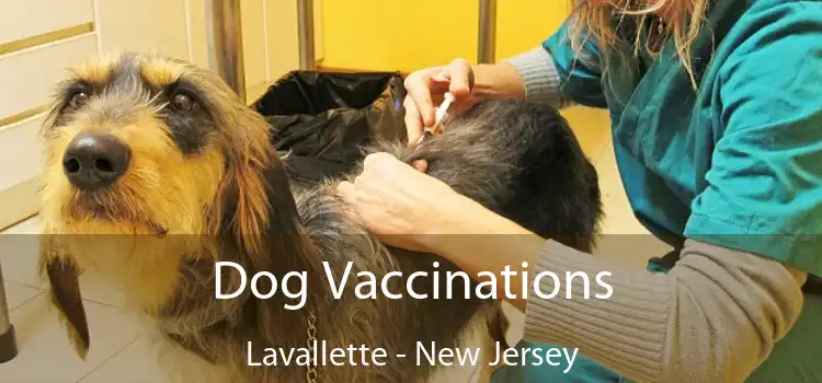 Dog Vaccinations Lavallette - New Jersey