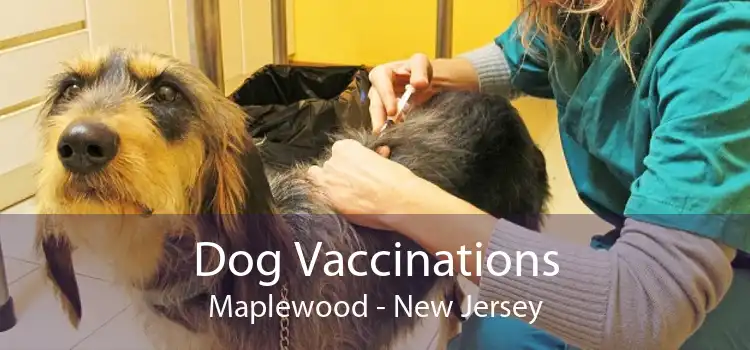 Dog Vaccinations Maplewood - New Jersey