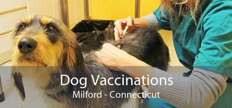 Dog Vaccinations Milford - Connecticut