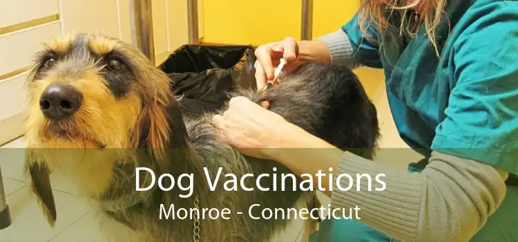 Dog Vaccinations Monroe - Connecticut