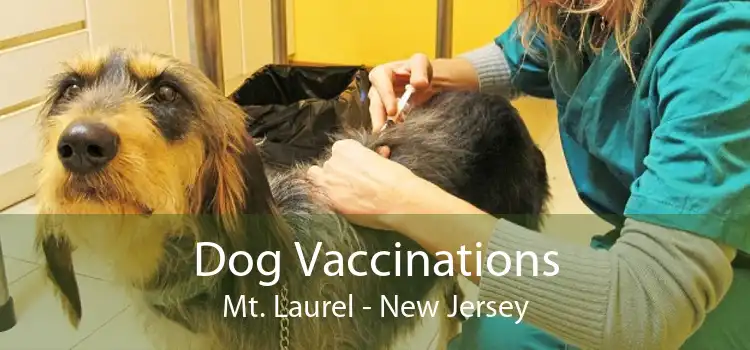Dog Vaccinations Mt. Laurel - New Jersey