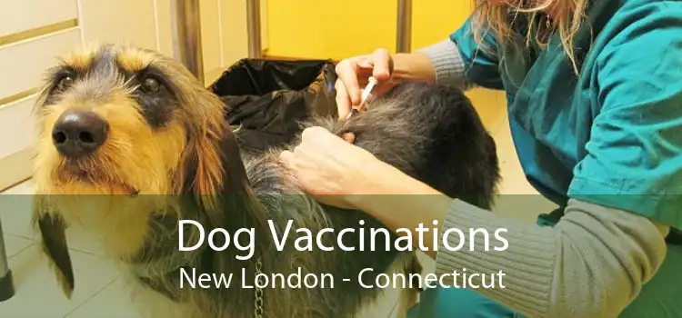 Dog Vaccinations New London - Connecticut