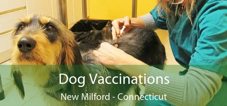 Dog Vaccinations New Milford - Connecticut