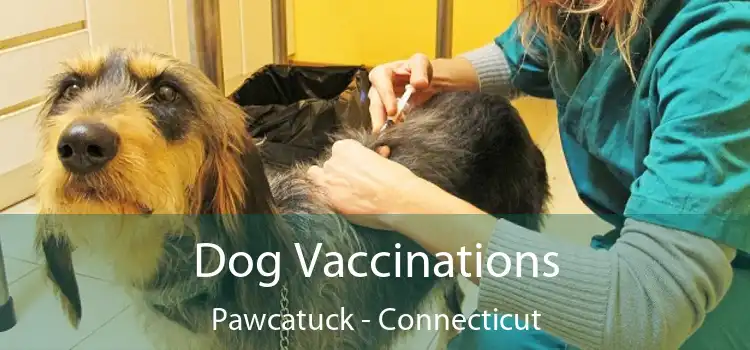 Dog Vaccinations Pawcatuck - Connecticut