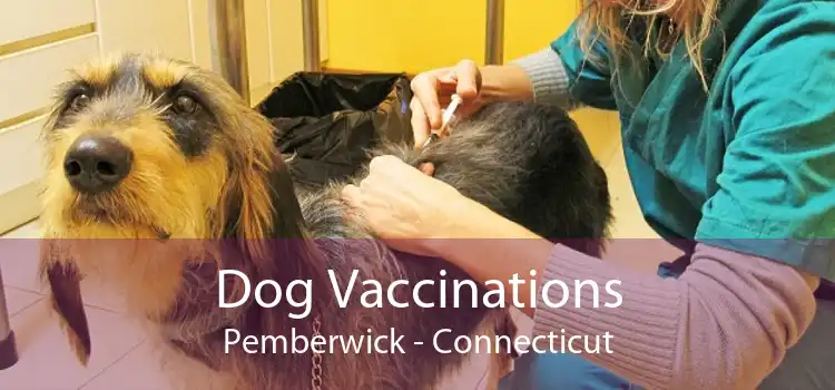 Dog Vaccinations Pemberwick - Connecticut