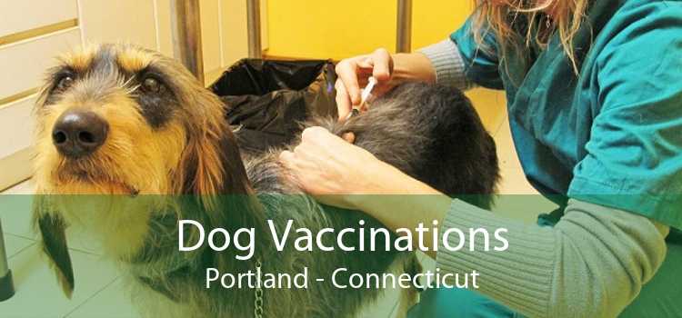 Dog Vaccinations Portland - Connecticut