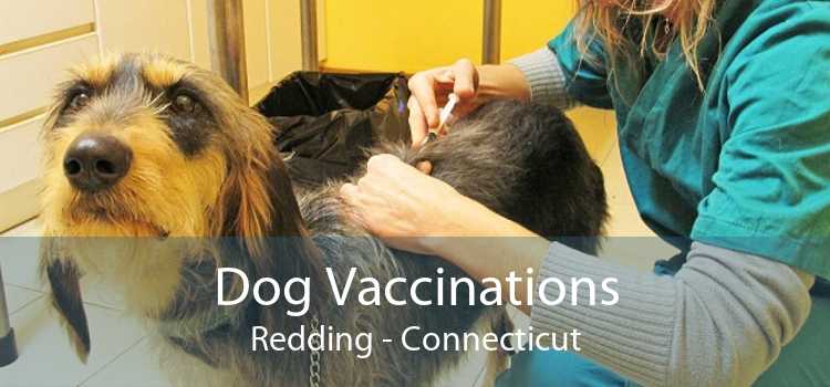 Dog Vaccinations Redding - Connecticut