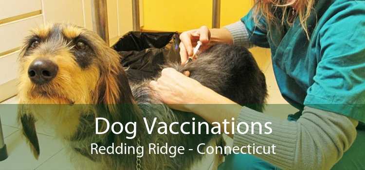 Dog Vaccinations Redding Ridge - Connecticut