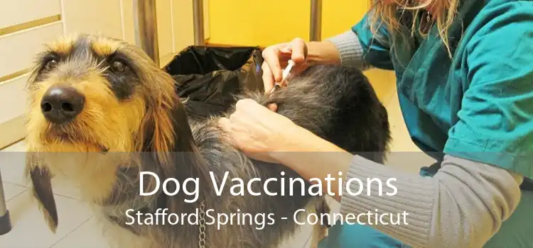 Dog Vaccinations Stafford Springs - Connecticut