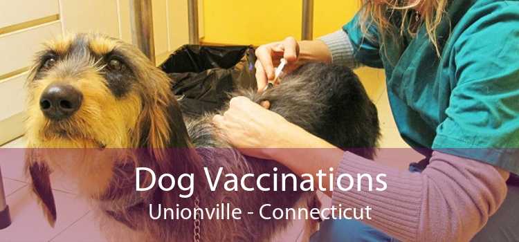 Dog Vaccinations Unionville - Connecticut