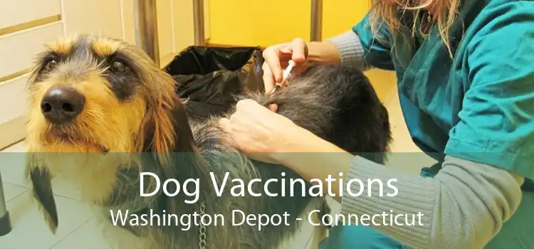 Dog Vaccinations Washington Depot - Connecticut